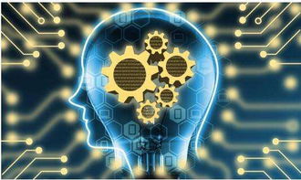 前三季度貴州新經(jīng)濟增加值達1992.90億元，互聯(lián)網(wǎng)商品零售展現(xiàn)強勁活力